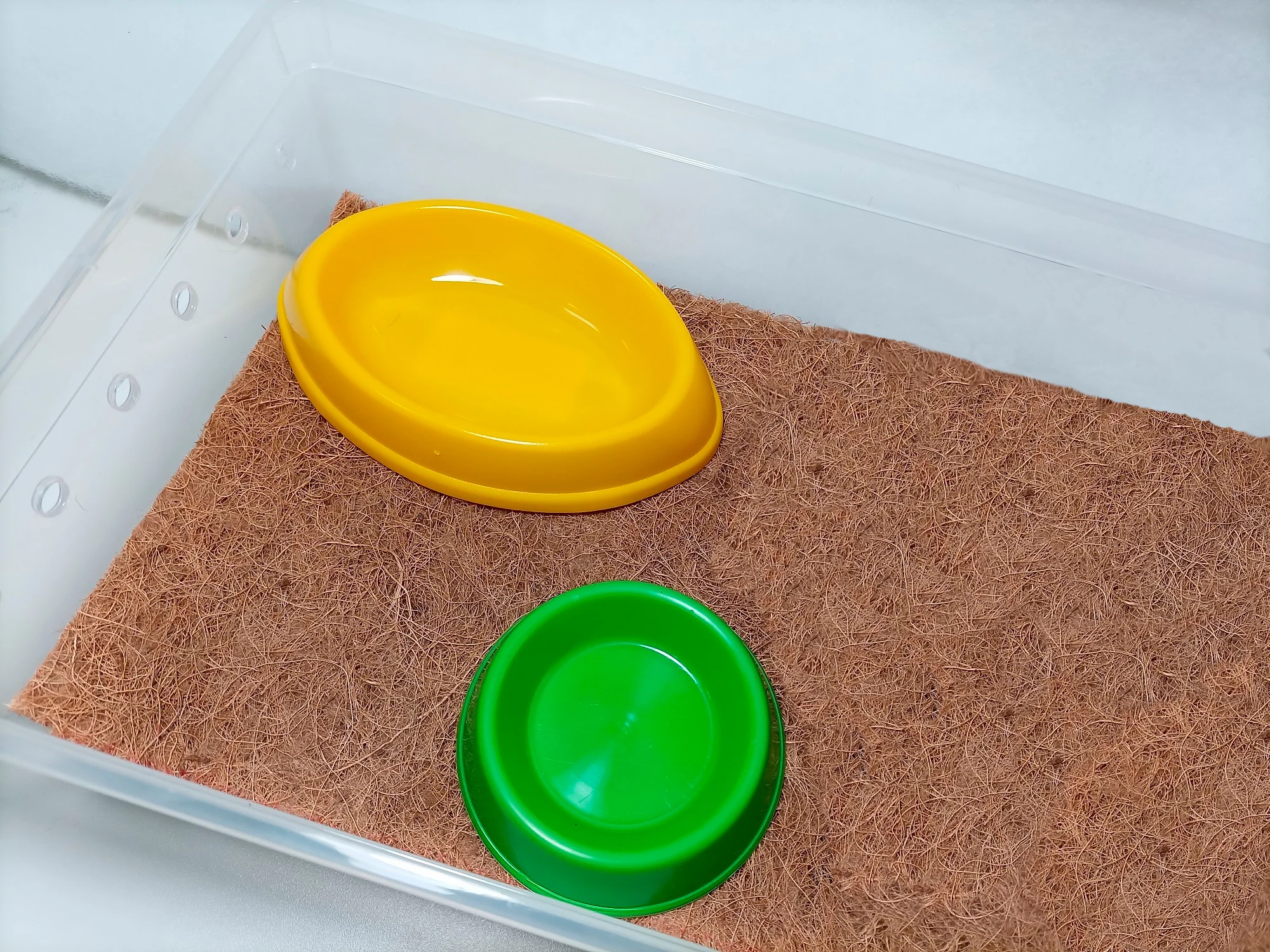 Кокосовый коврик EuroCocos для улиток 20х30см 3