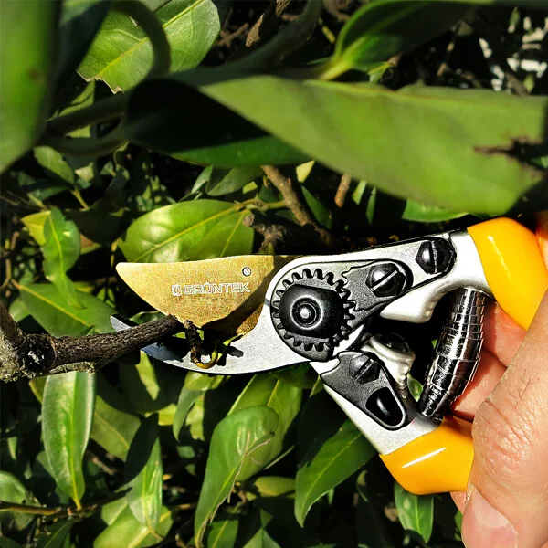 Секатор Gruntek Z-25, 295215025 2