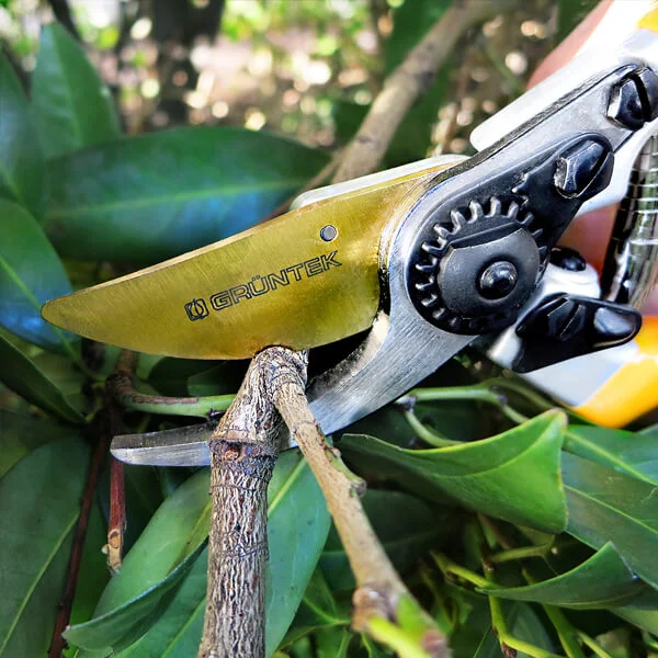 Секатор Gruntek Z-25, 295215025 3