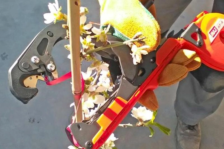 Степлер-сшиватель для рослин HT-R1 GUN MAX 3