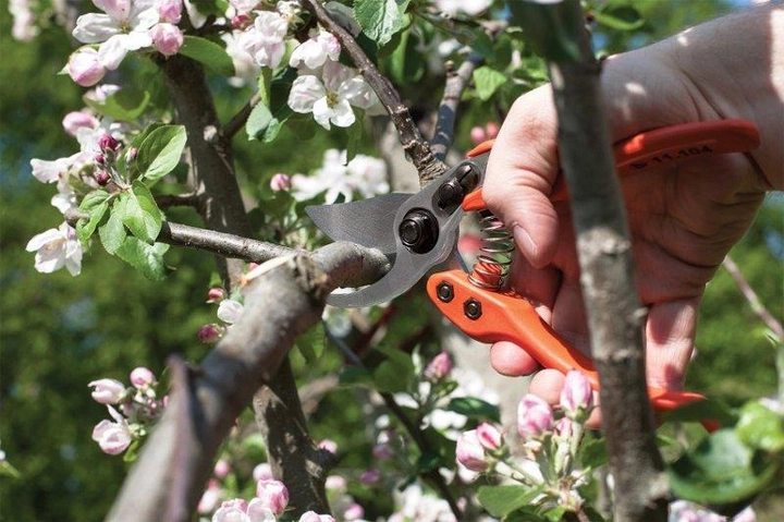 Секатор Lowe 11.104 плоскостной облегченный 4