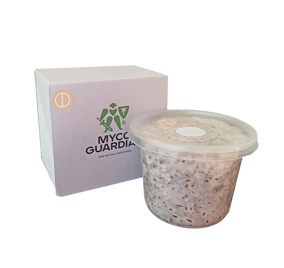 Біофунгіцид, зерновий міцелій гриба Beauveria Bassiana, 500 мл, ТМ Myco Guardian