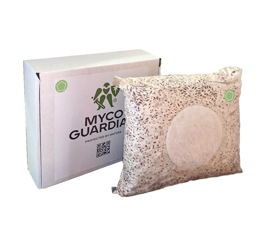 Біофунгіцид, зерновий міцелій гриба Gliocladium Catenulatum, 4 л, ТМ Myco Guardian