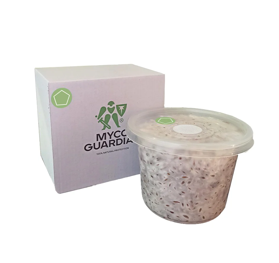 Біофунгіцид, зерновий міцелій гриба Gliocladium Catenulatum, 500 мл, ТМ Myco Guardian