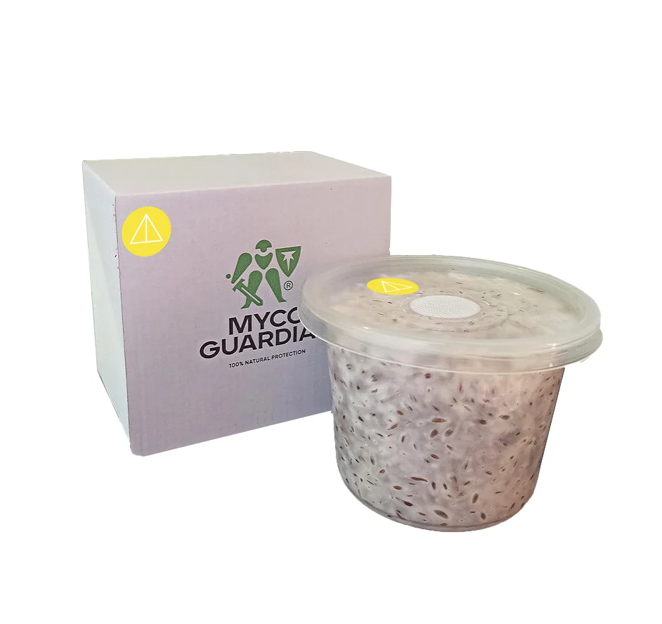 Біоінсектицид, зерновий міцелій гриба Paecilomyces Lilacinum, 500 мл, ТМ Myco Guardian