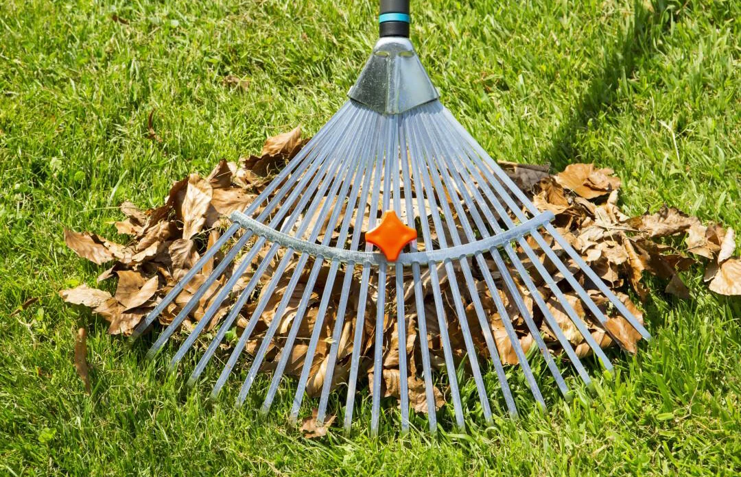 Грабли веерные регулируемые с ручкой NatureLine, Gardena, 17107 2