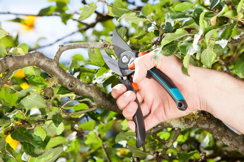 Секатор Comfort B/M, Gardena, 08905 3