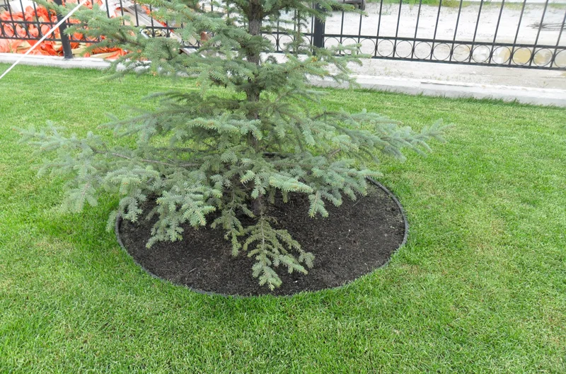 Бордюрная лента Экобордюр мини (черная), 11см х 20м 2