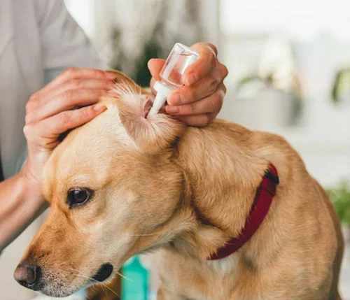 Капли ушные Барьер Продукт для животных, 10 мл 2