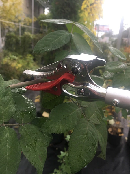 Секатор, ARS, 150-0.6 3