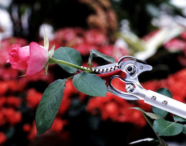 Секатор, ARS, 150-0.6 2