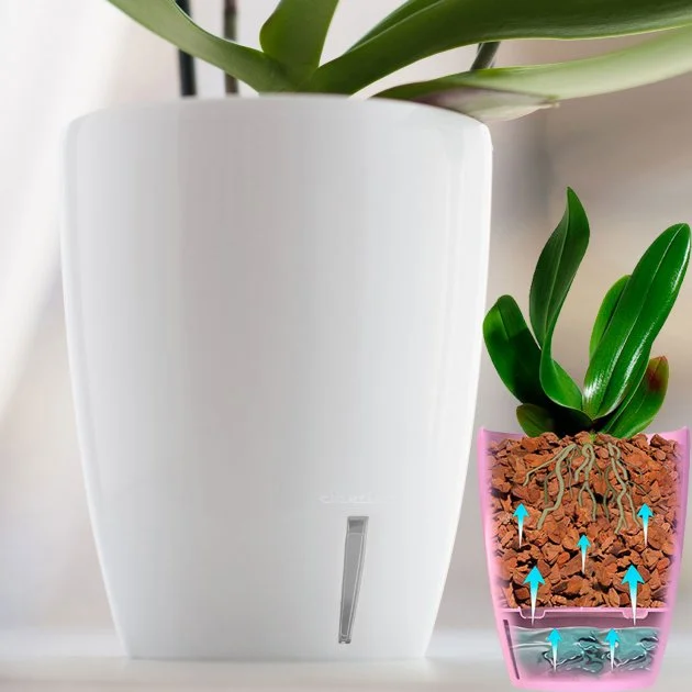 Вазон ОРХІДЕЯ TWIN (2 л) прозорий	O2 TRA			 4