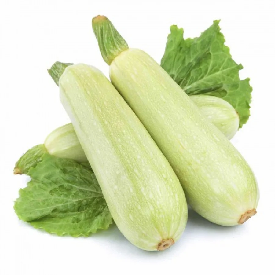 Насіння кабачка Кавілі F1, 10шт, Nunhems, Голландія, Beste Kern 2