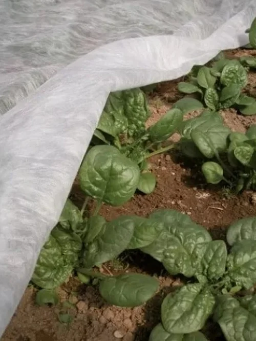 Агроволокно 30 UV, біле, 1.6х10м, Agreen (Агрін)  3