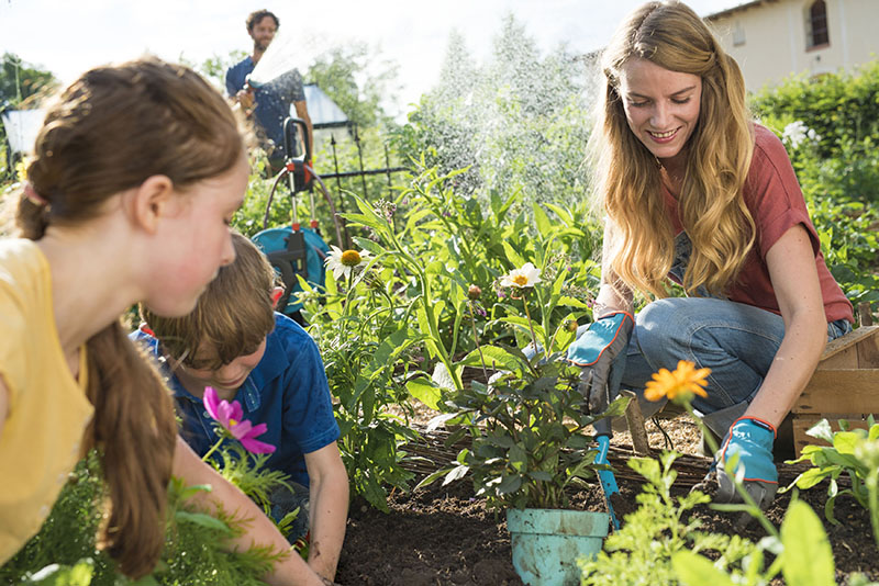 Совок квітковий Classic, 8см, Gardena, 08950-20.000.00 4