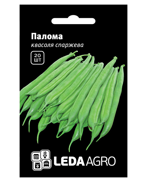 Насіння квасолі спаржевої Палома, 20шт, Nunhems, Голландія, насіння Леда Агро