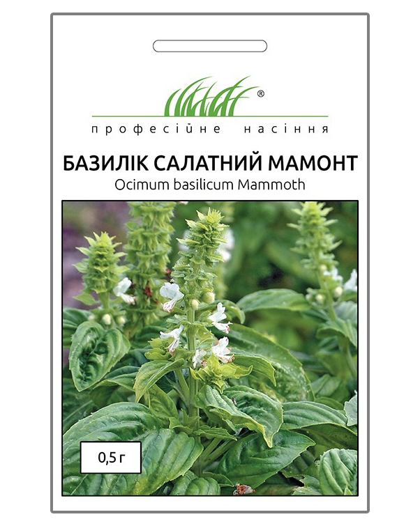 Семена базилика салатного Мамонт 0.5 г, Hem, Голландия, Професійне насіння 1