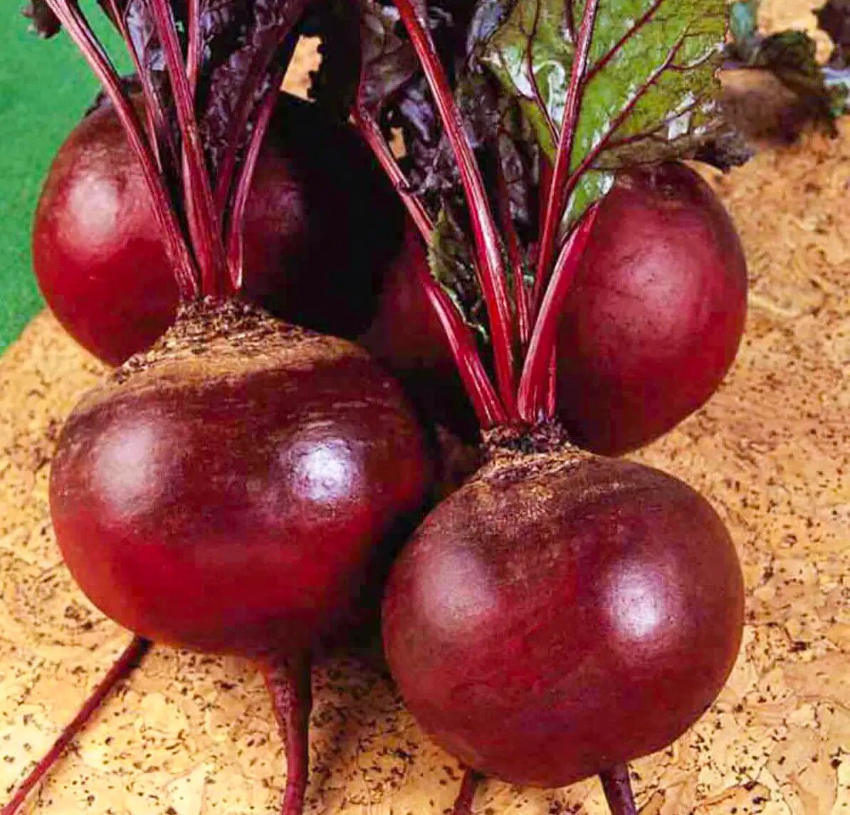 Семена свеклы Детройт, 5г, Anseme, Италия, Професійне насіння 2