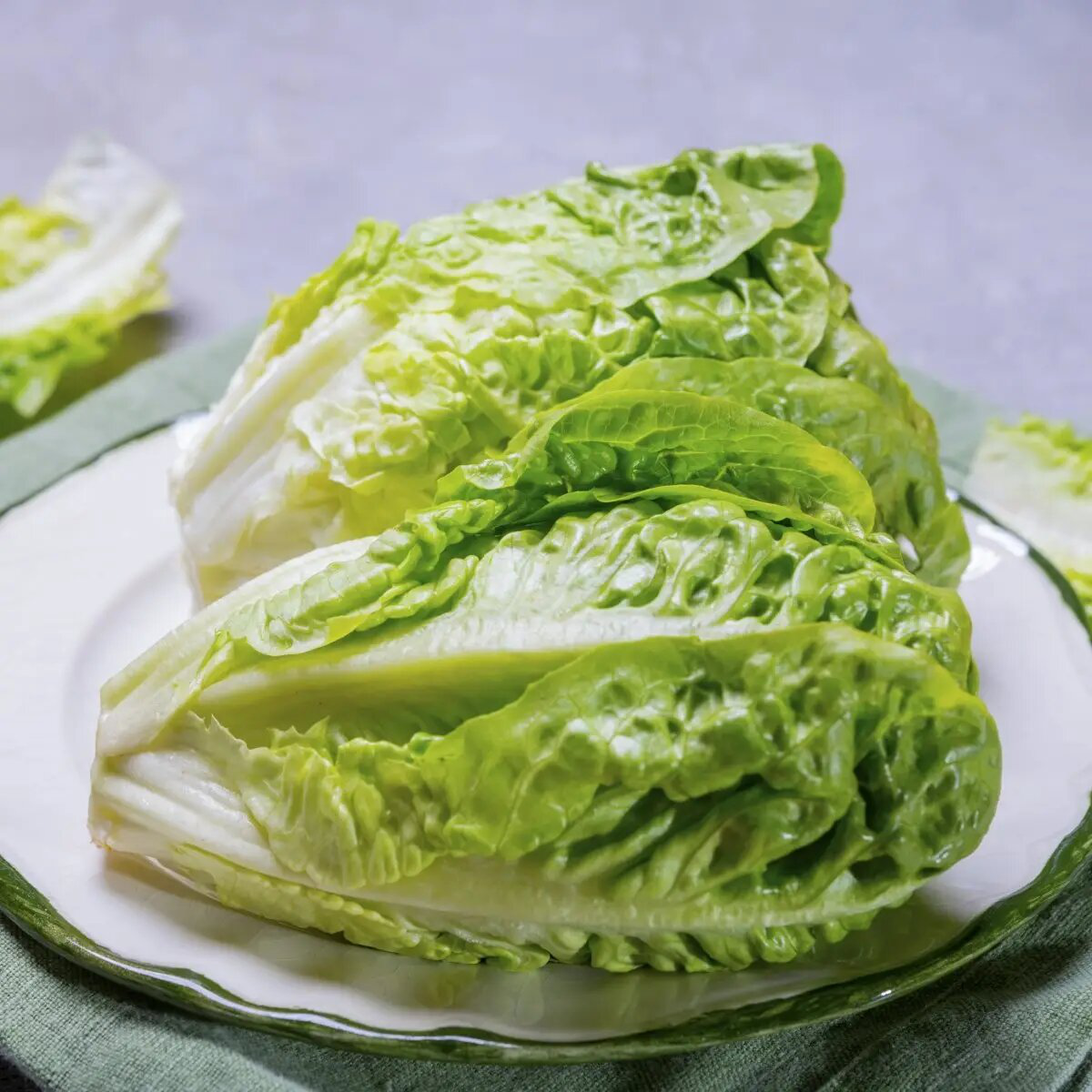 Семена салата Литл Джем 0.3 г, Hem, Голландия, Професійне насіння 2