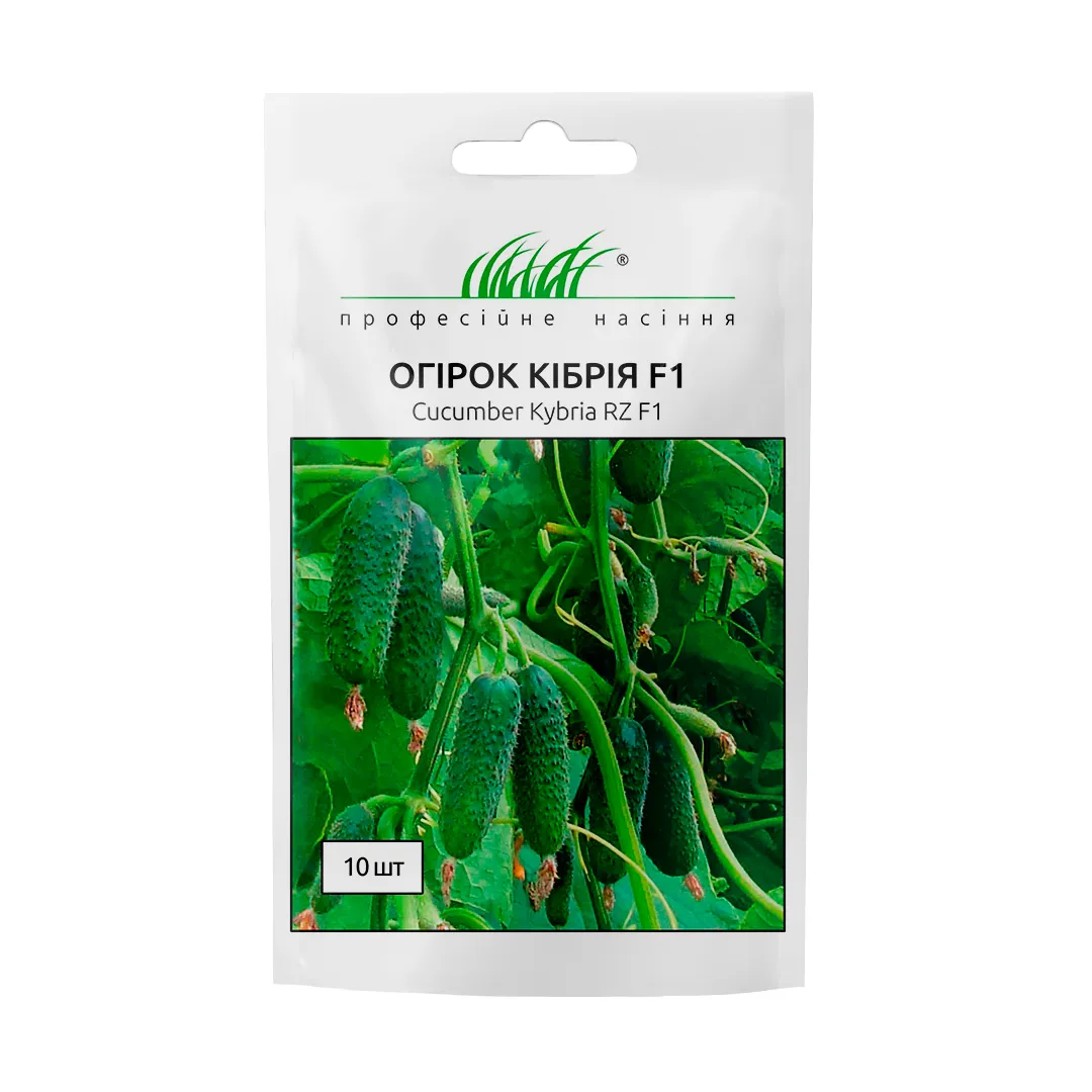 Насіння огірка Кібрія F1, 10 шт, Rijk Zwaan, Голландія, Професійне насіння 1