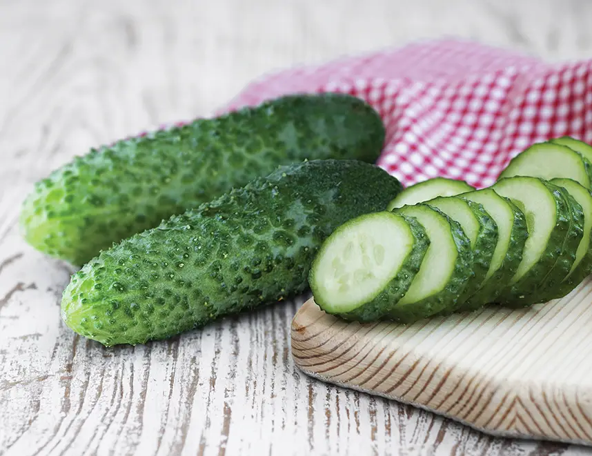 Насіння огірка Аристократ F1, 10 шт, Nong Woo Bio, Корея, Насіння Pro seeds 2