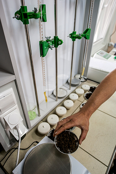 Субстрат PL-1, 80л, Peatfield (Пітфілд) 8