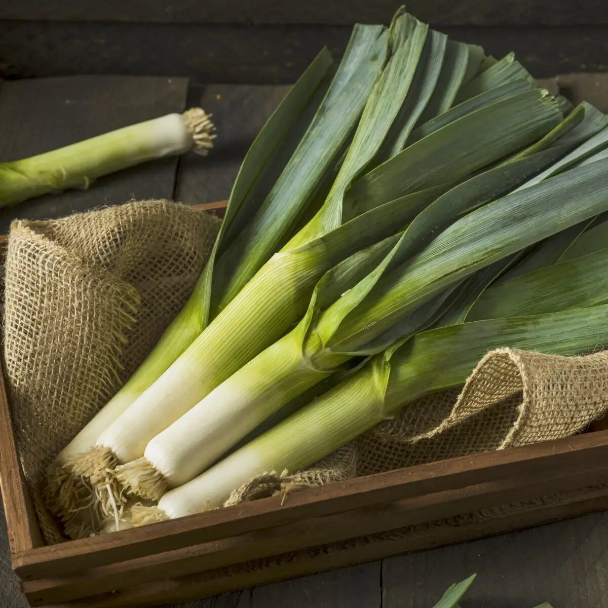 Насіння цибулі Колумбус, 0.3 г, Bejo Zaden, Нідерланди, Професійне насіння 2