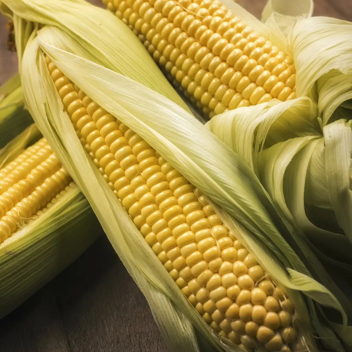 Насіння кукурудзи Тайсон F1, 20 шт, Syngenta, Голландія, Професійне насіння 3