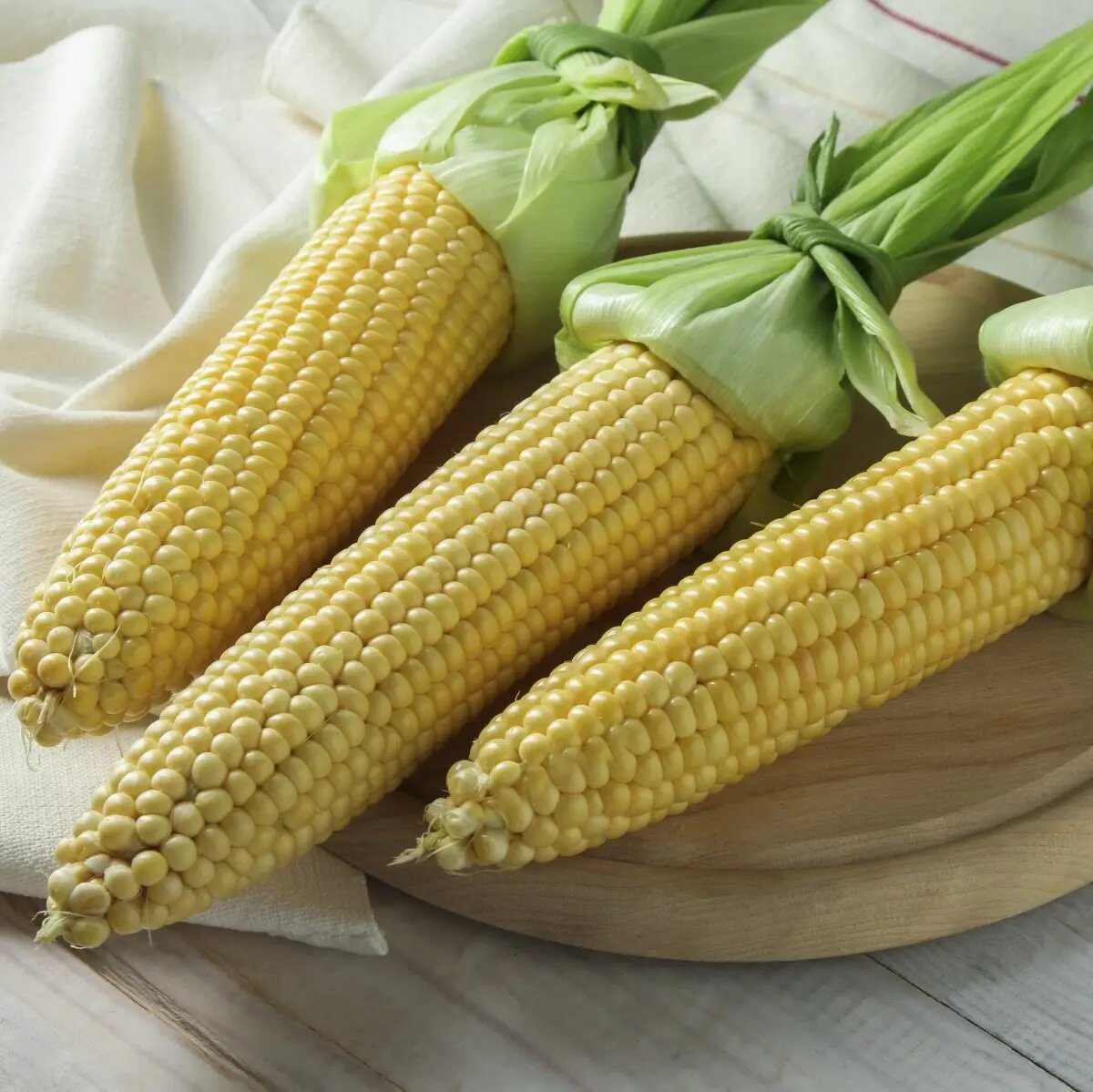 Насіння кукурудзи Акцент F1, 20 шт, Syngenta, Голландія, Професійне насіння 2