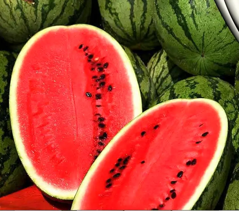 Семена арбуза Леди F1, 8шт, Nunhems, Голландия, Професійне насіння 2