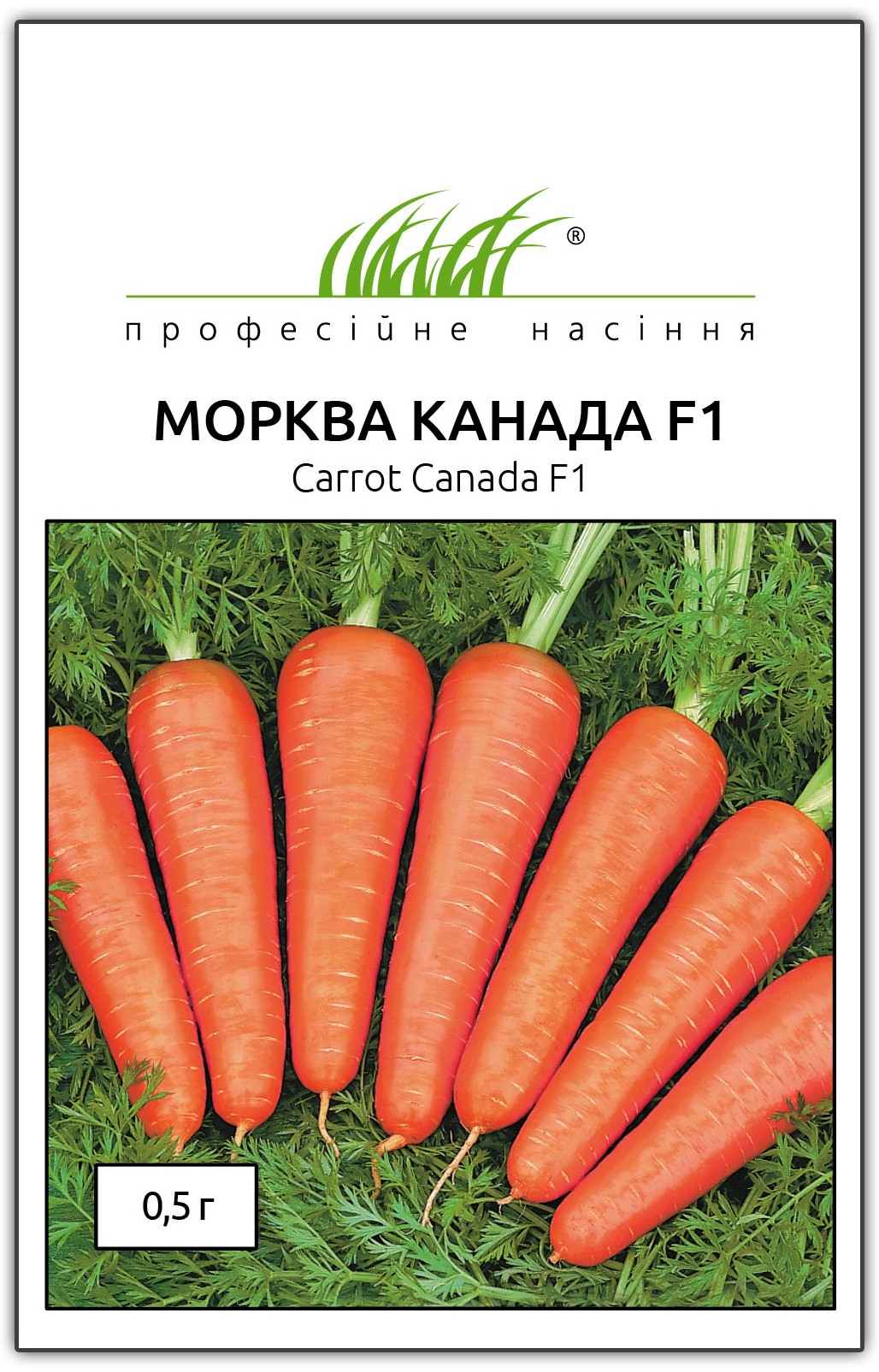 Семена моркови Канада F1, 0,5г, Bejo, Голландия, Професійне насіння 1