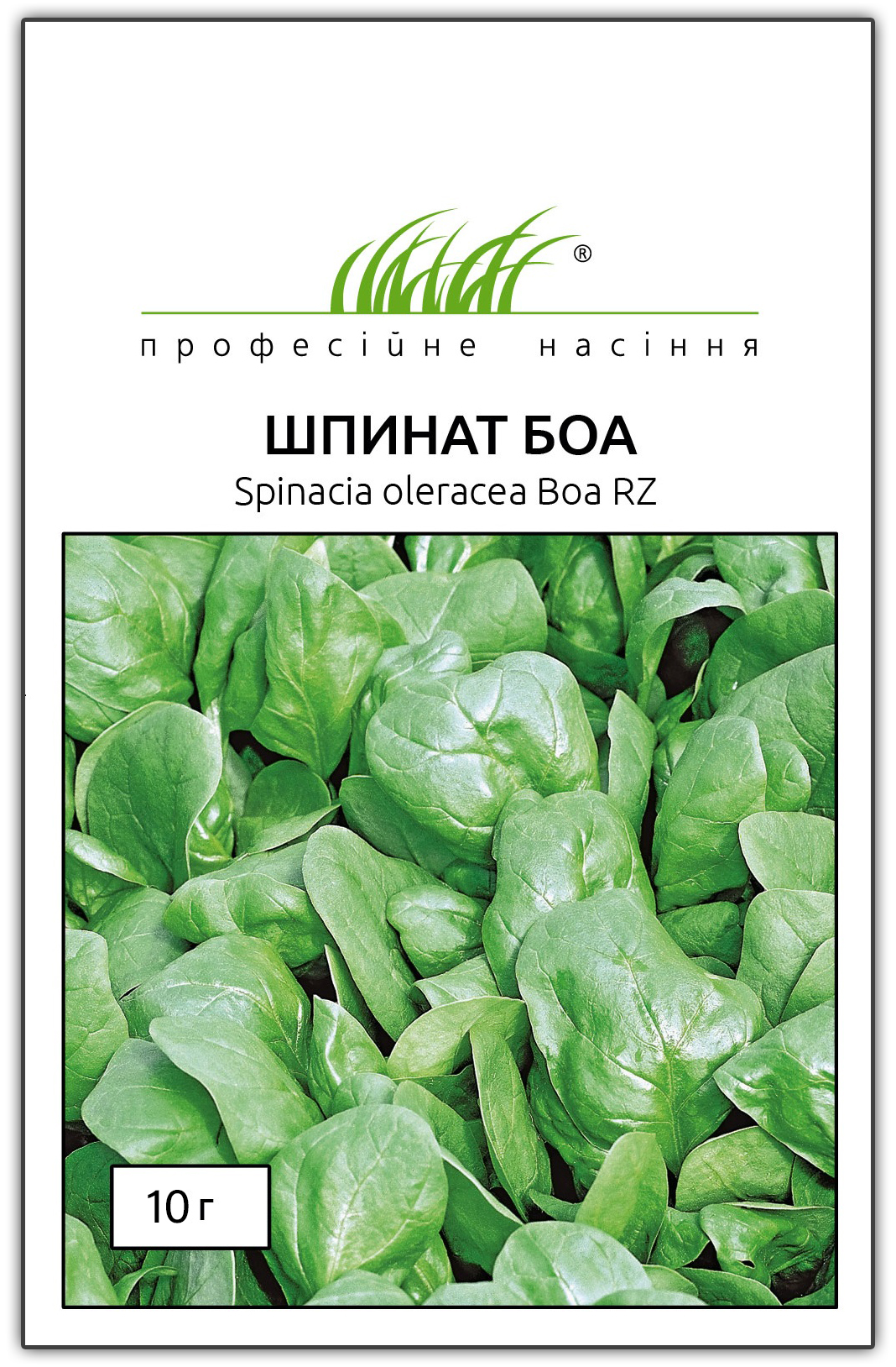 Насіння шпинату Боа, 750 шт, Rijk Zwaan, Голландія, Професійне насіння 1