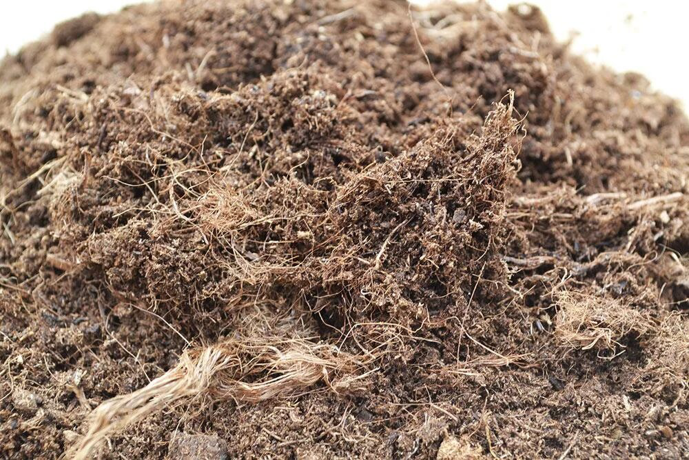 Торф'яний субстрат Saula для лохини, 70 л 2