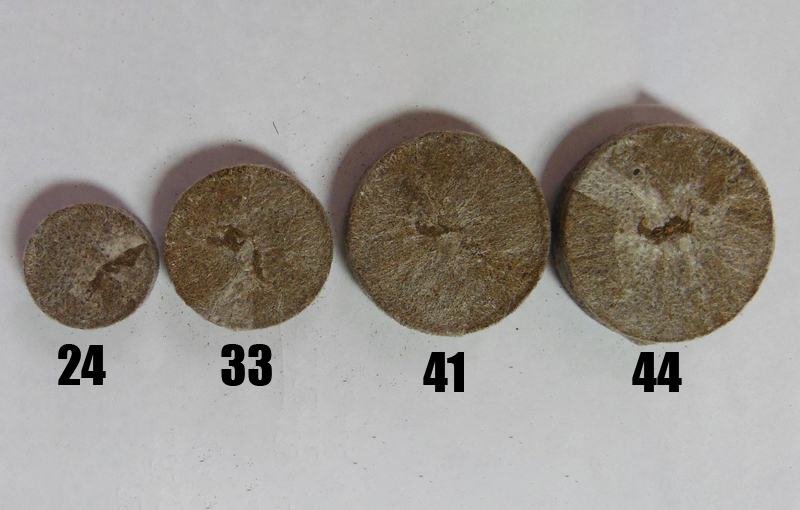 Торфяная таблетка Jiffy (Джиффи), 10шт, 33мм, TM ROSLA (Росла) 2