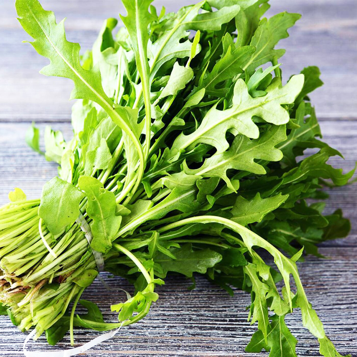 Семена рукколы Пронто, 1г, Hem, Голландия, семена Леда Агро 2