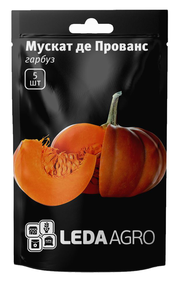 Насіння гарбуза Мускат де Прованс, 5шт, Clause, Франція, насіння Леда Агро 1