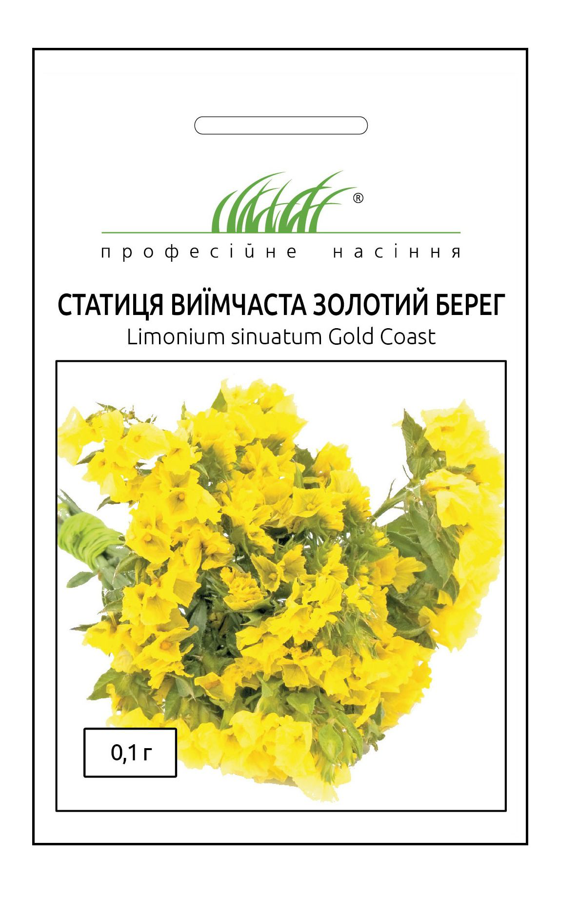 Насіння статиці виїмчатої Золотий берег, 0.1 г, Hem, Голландія, Професійне насіння 1