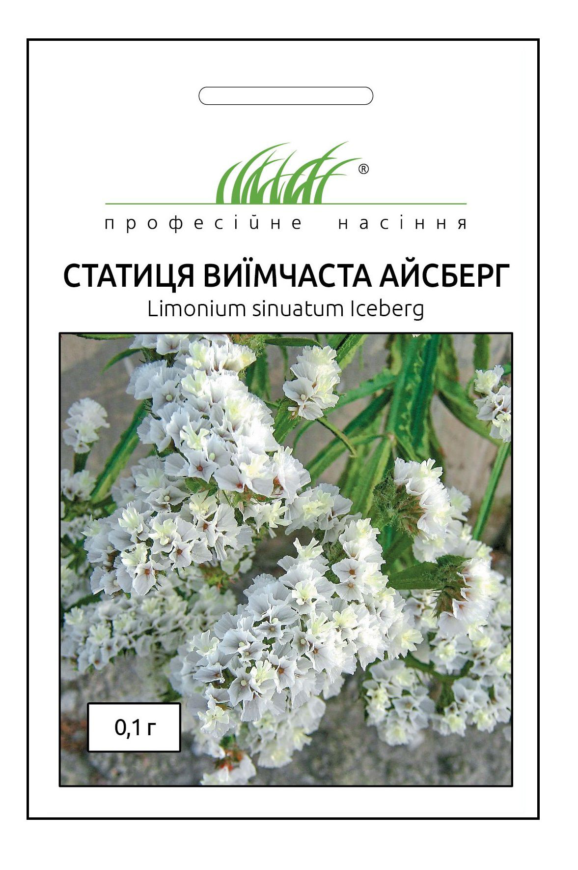 Семена статицы Айсберг, 0.1г, Hem, Голландия, Професійне насіння 1