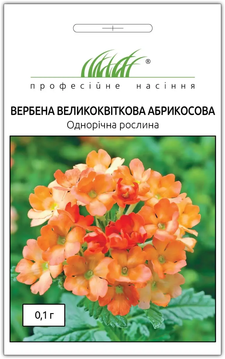 Семена вербены абрикосовой, 0.1г, Hem, Голландия, Професійне насіння 1