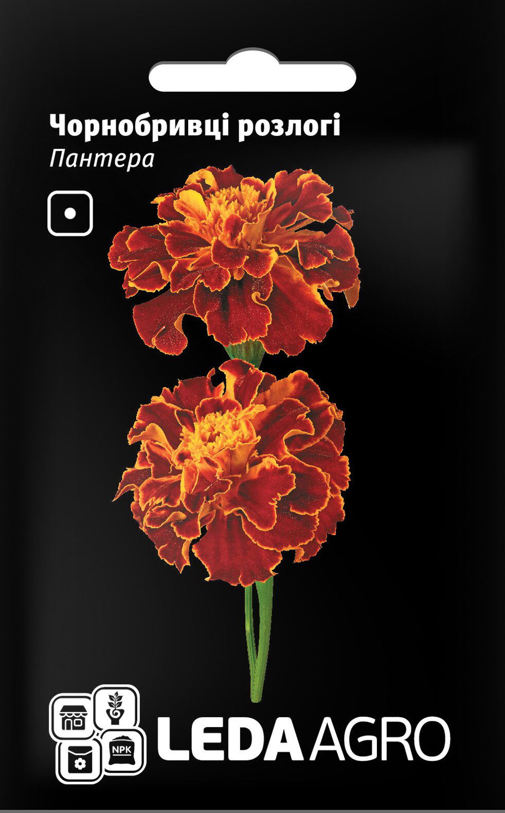 Насіння чорнобривців розлогі Пантера, 0.25г, насіння Леда Агро 1