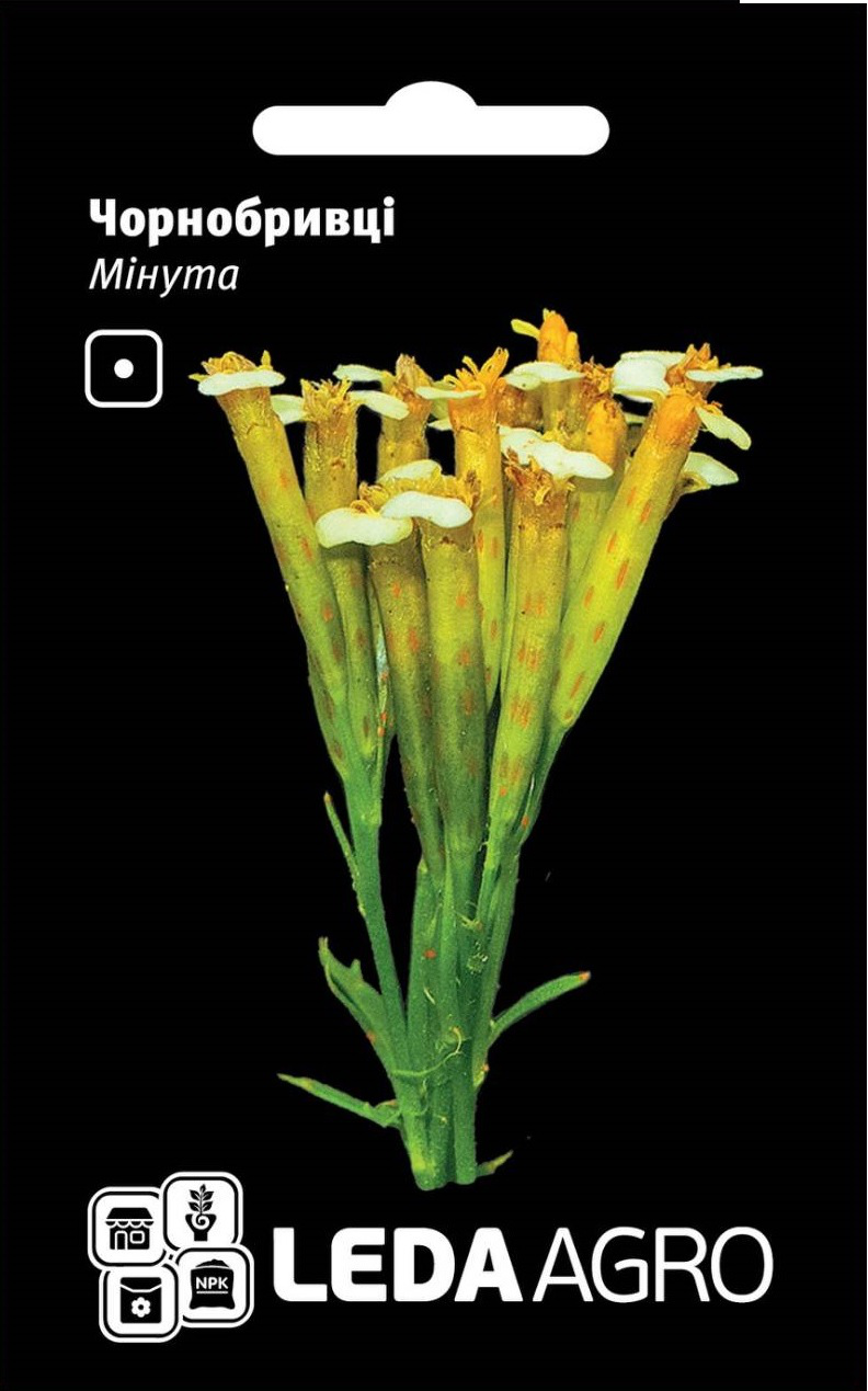 Насіння чорнобривців Хвилина, 0.3г, Hem Zaden, Голландія, насіння Леда Агро 1