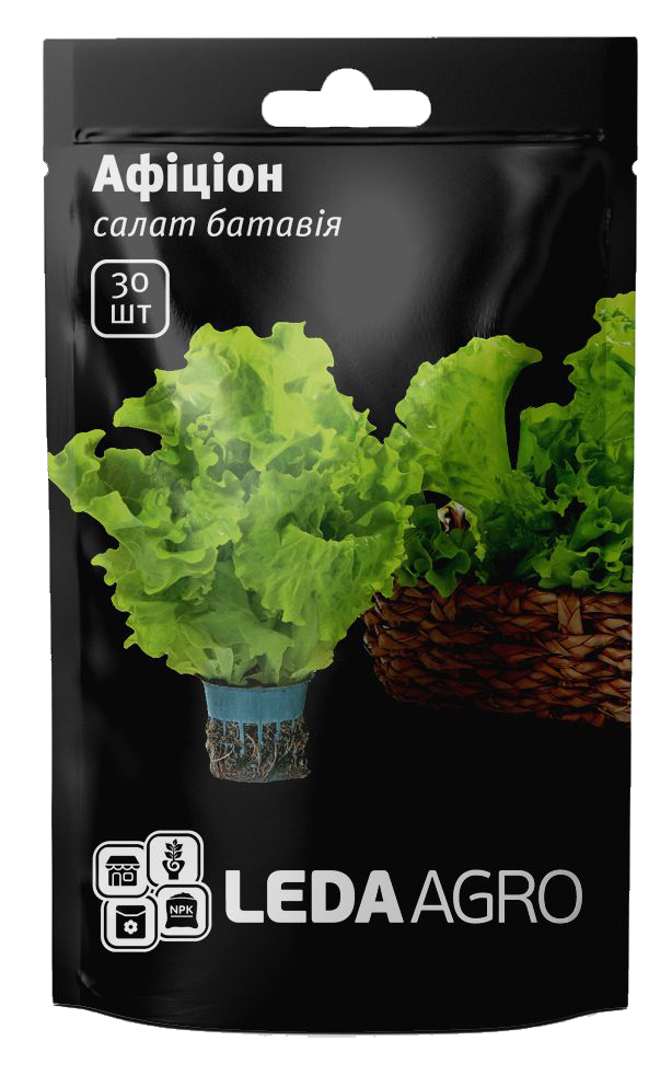 Семена салата батавия Афицион, 30шт, Rijk Zwaan, Голландия, семена Леда Агро 1