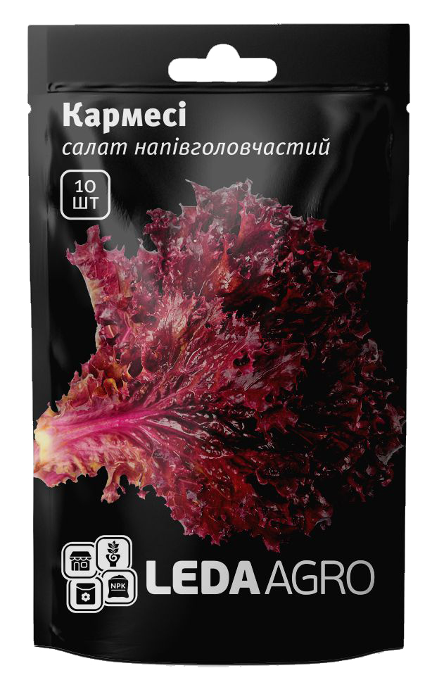 Насіння салату Кармесі, 10шт, Rijk Zwaan, Голландія, насіння Леда Агро 1