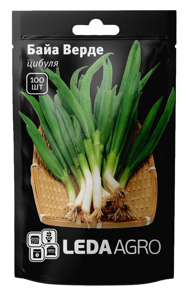 Семена лука на перо Байа Верде F1, 100шт, Seminis, Голландия, семена Леда Агро 1
