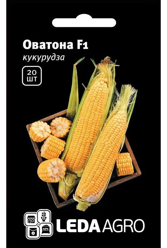 Насіння кукурудзи Оватона F1, 20 шт, Clause, Франція, Леда Агро 1