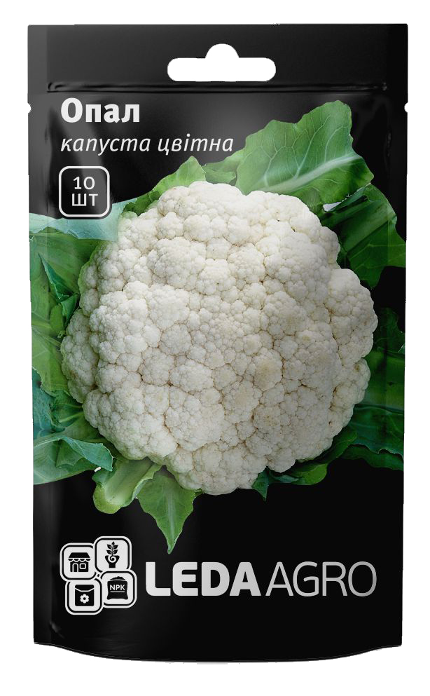 Насіння капусти Опал, 10шт, Rijk Zvaan, Голландія, Леда Агро 1