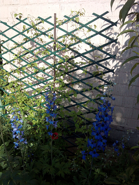 Шпалера садовая №150, 150х200см, сосна 2