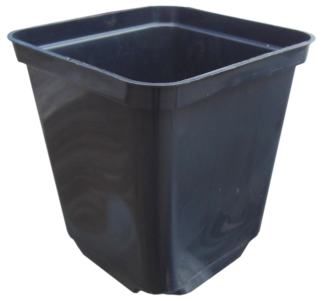 Горшок квадратный, 9х9х10, 0.5л, черный, Kloda (Клода)