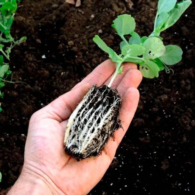 Инновационная кассетная система для рассады на 20 ячеек 7