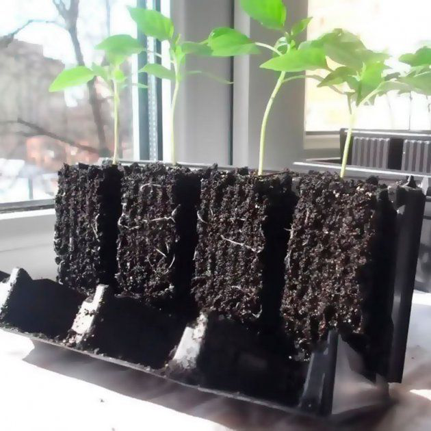 Инновационная кассетная система для рассады на 20 ячеек 4